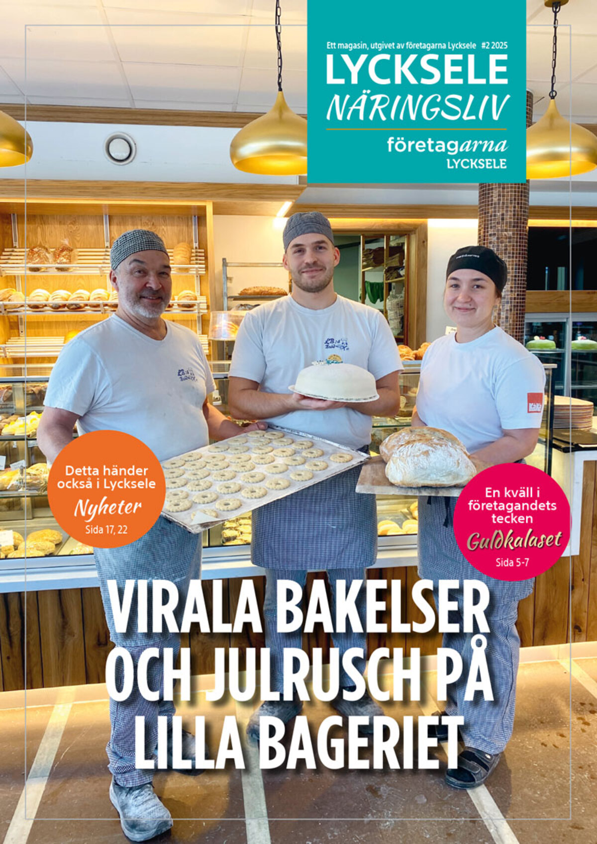 Lycksele Näringsliv 2025 #2